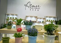 AIMEI Flower Pot producer from Jiangsu province, their pots have been exported to many countries