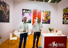 Lily company from the Netherlands, they also joined the Kunming IFEX show last year