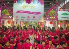 Brighten team, a big young plant supplier in China