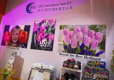 CBTC International Trade company shows their tulip bulb at the show