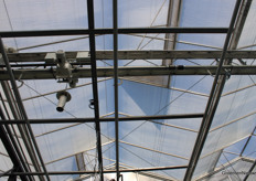 The glass was left on the greenhouse during the extensive renovation, but otherwise almost everything else is new.