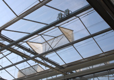 The greenhouse is equipped with insect netting.