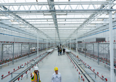 The corridor, where all the plant handling will take place