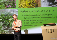 More than a third of Dutch gerbera growers are now using the new biological control agent.