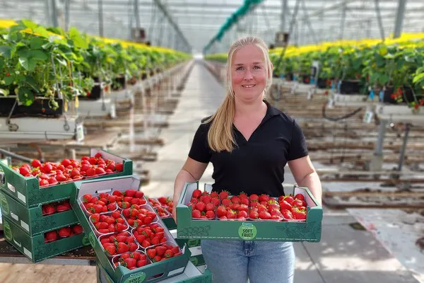 Inspire strawberry sales surge at The Greenery
