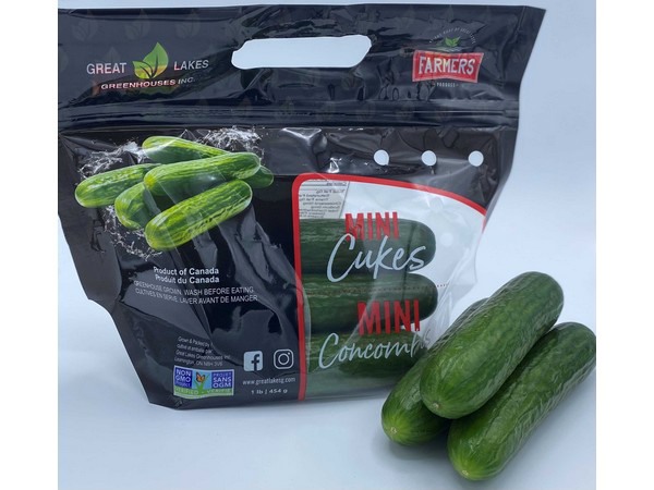 Fresh Organic Mini Cucumbers, 1 Pound Bag