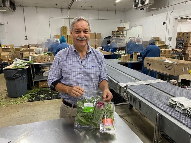 Fresh Herb Pricing Could Pick Up In 2024   Basilcamilo2edited 