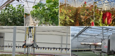 crop protection guide for greenhouse vegetables clipart