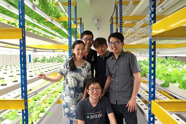 Engineers Believe Vertical Farming Offers The Answer To Food Sustainability