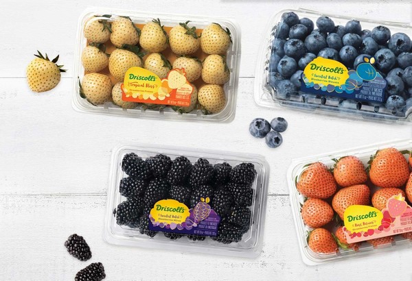 Store Berry First Assortment