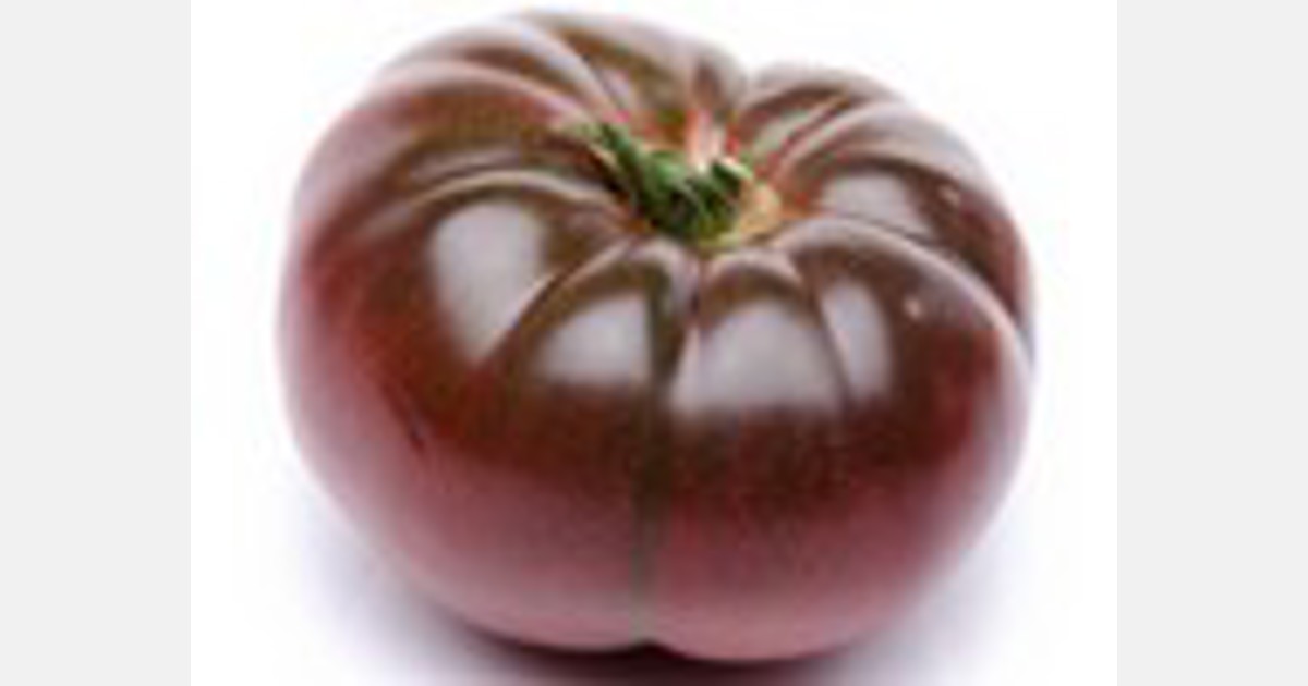 Discover the qualities and benefits of the blue tomato. They will