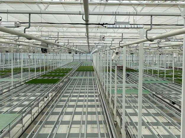 Growers Greenhouse Supplies Inc.: Nourishing Innovation within its Field  (Canadian Business Executive)
