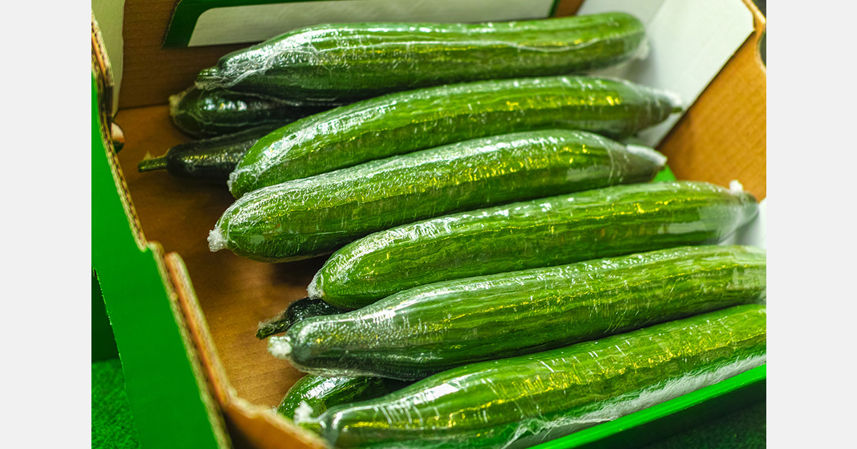 US (FL) Recall of whole cucumbers because of possible health risk