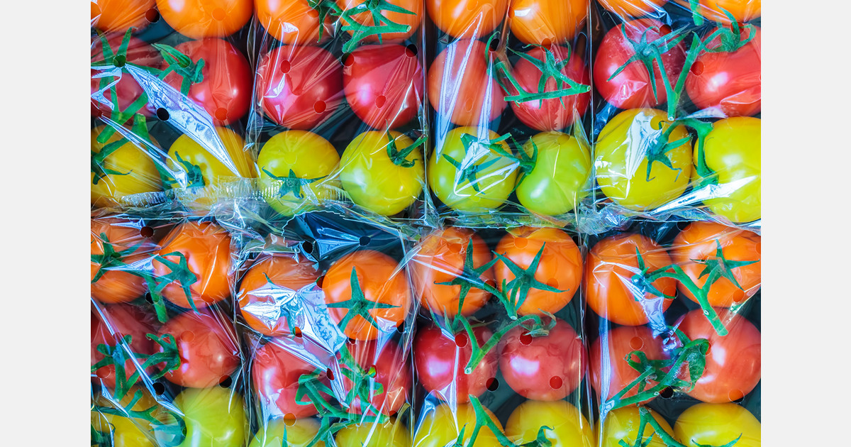 España está perdiendo dominio en el mercado británico del tomate