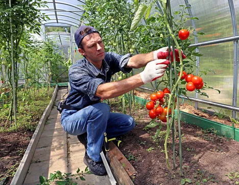 ADAMA and Lod Municipality inaugurated research greenhouse